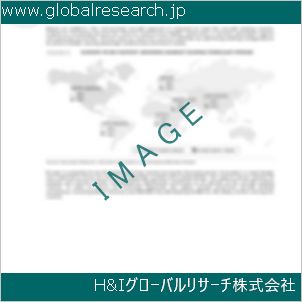 グローバルリサーチ調査資料のイメージ